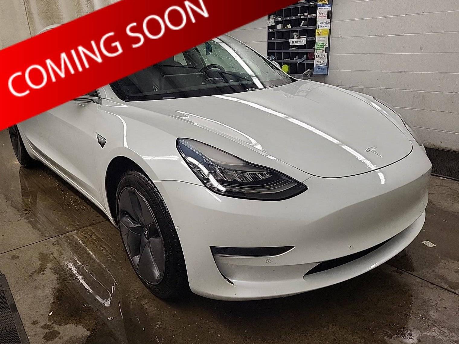 TESLA MODEL 3 2019 5YJ3E1EA3KF436562 image